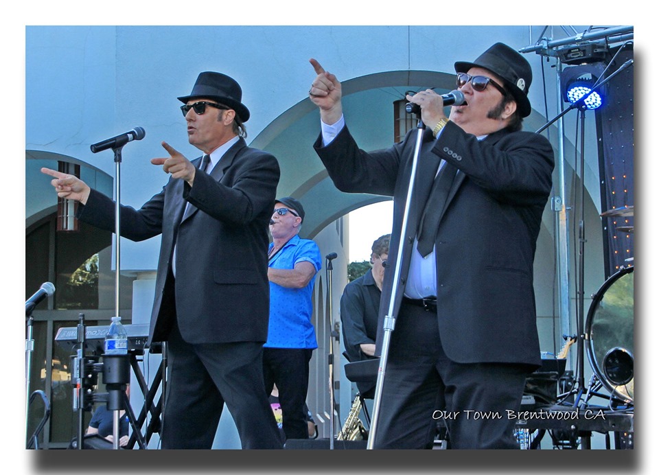 Briefcase Blues Brothers Revue Briefcase Blues Brothers